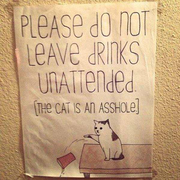 "Please Don't Leave Drinks Unattended. The cat is an asshole."