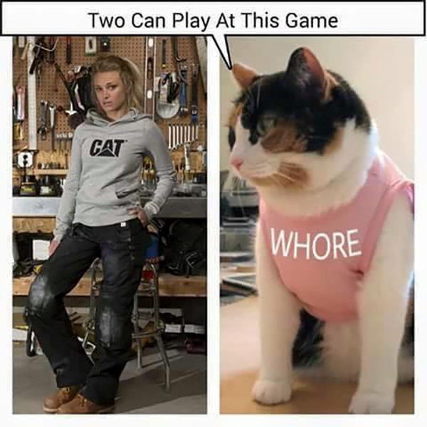 (Girl with Cat shirt)(Cat with Whore shirt) "Two can play at this game!"